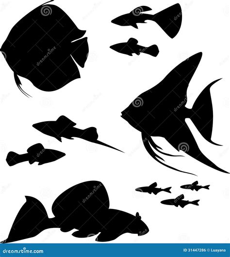 fish silhouette images|Silhouette Fish royalty.